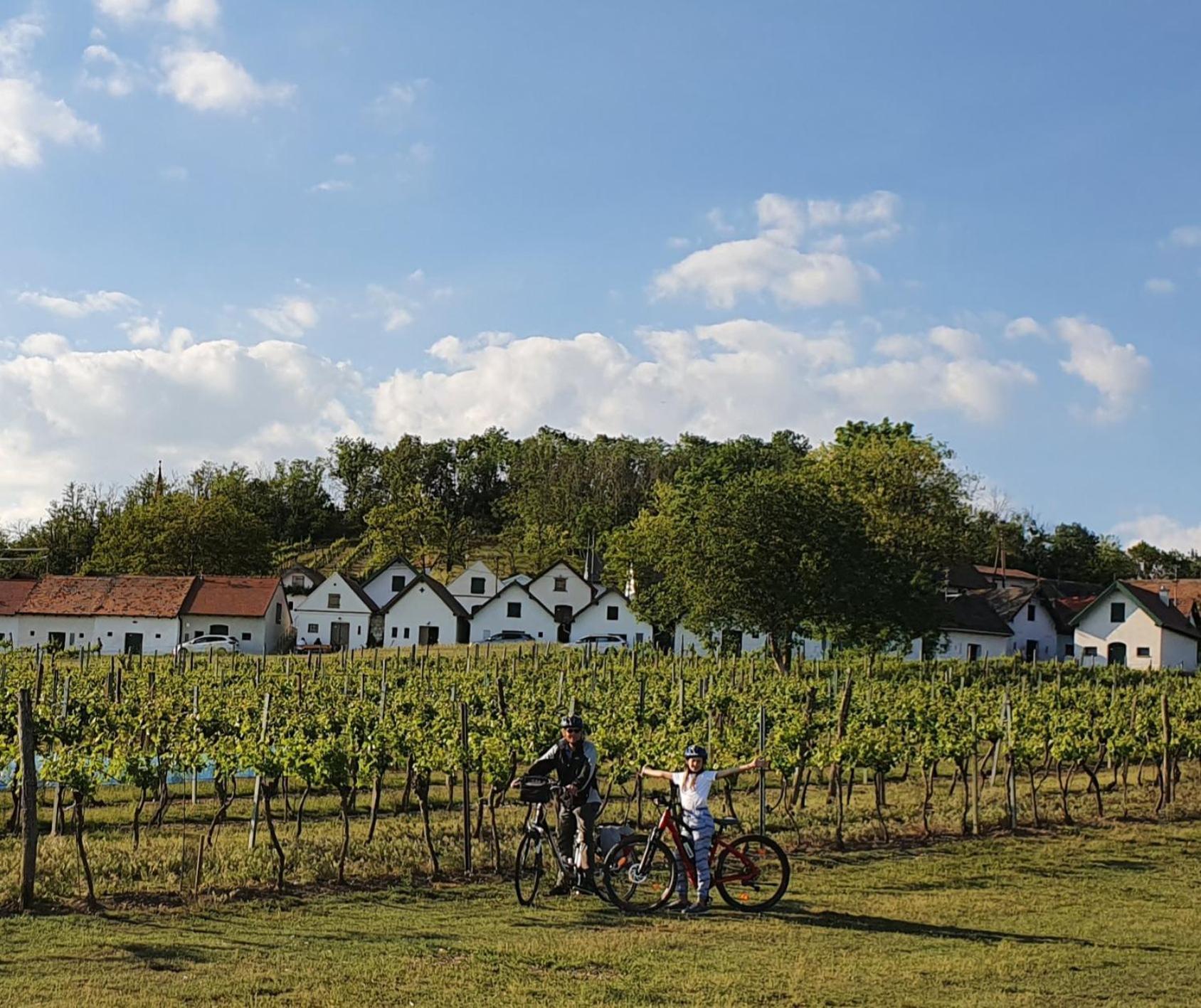 Weingut Bohrn Himmelbett Hotel Herrnbaumgarten Exterior photo